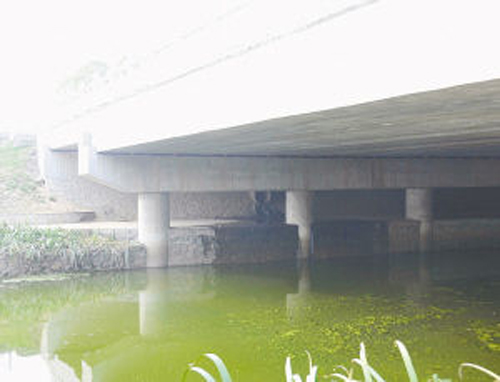 范蠡东路邕河桥下的排污口非常隐蔽